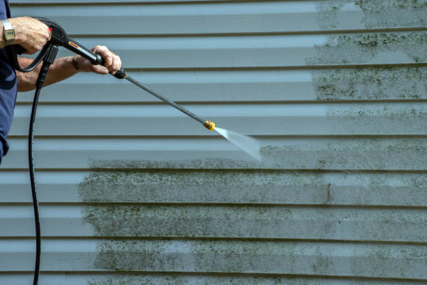 Best Roof Washing  in , UT